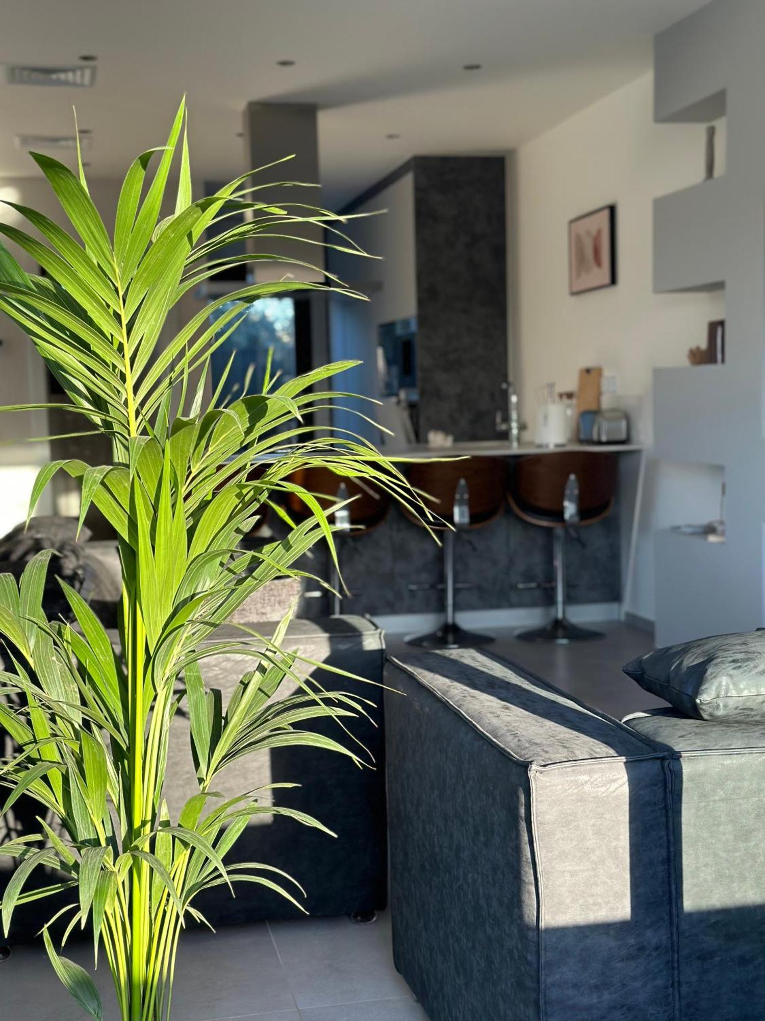 Shome Vilanova i la Geltrú Exteriör bild